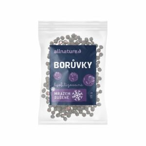 Borůvky sušené mrazem 15 g