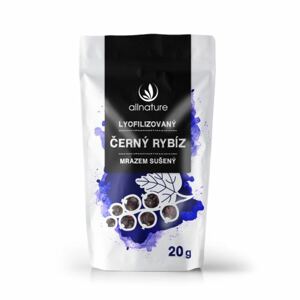 Černý rybíz sušený mrazem 20g
