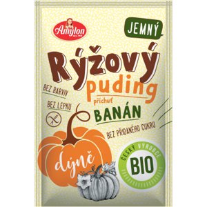 Amylon Bio Rýžový puding s dýní a příchutí banánu 40g